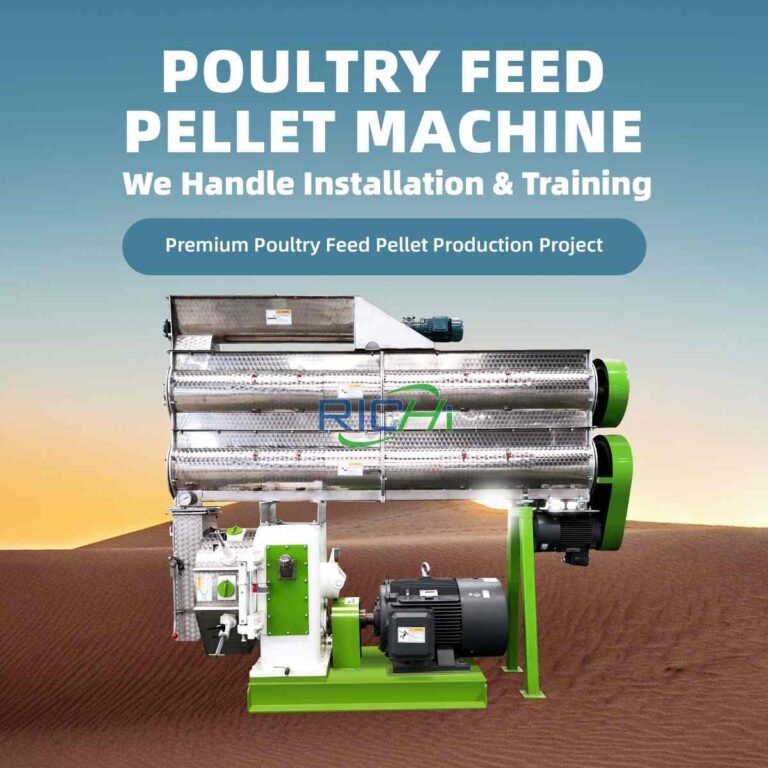 Chicken Feed Pellet Maker: Modern Solutions for Efficient and Nutritious Poultry Feeding