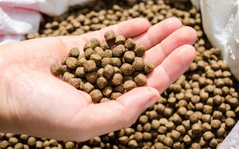 What Is the Future of Fish Feed Extrusion Technology